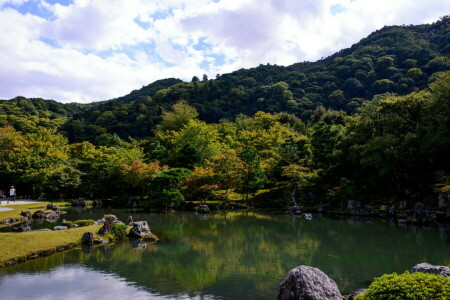 일본, 공원, 못, 돌, 나무