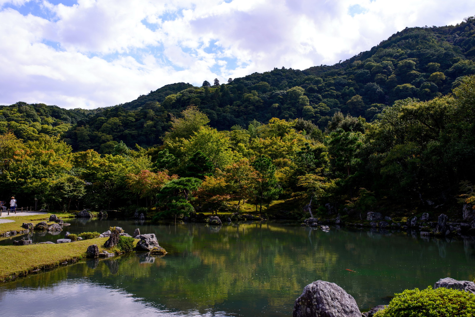 Taman, batu, pohon, Jepang, kolam
