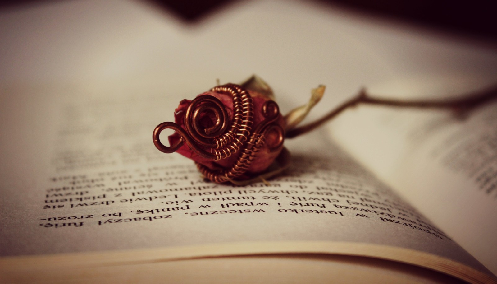 Hoa hồng, bông hoa, sách, Trang