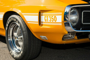 1969, Mengarungi, GT350, Mobil berotot, Shelby
