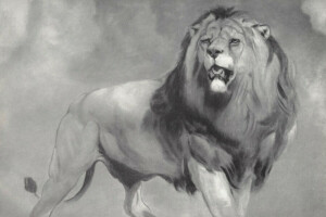 猫, 狮子座, 鬃毛, 捕食者, 威廉·哈金斯