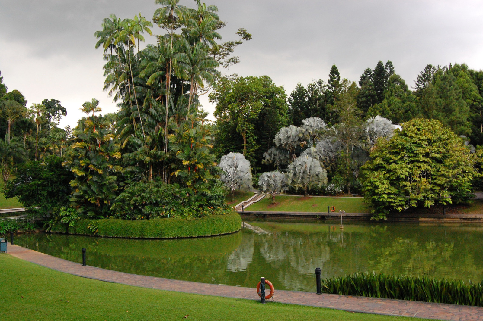 草, 公园, 树木, 草坪, 池塘, 棕榈树, 设计, 新加坡