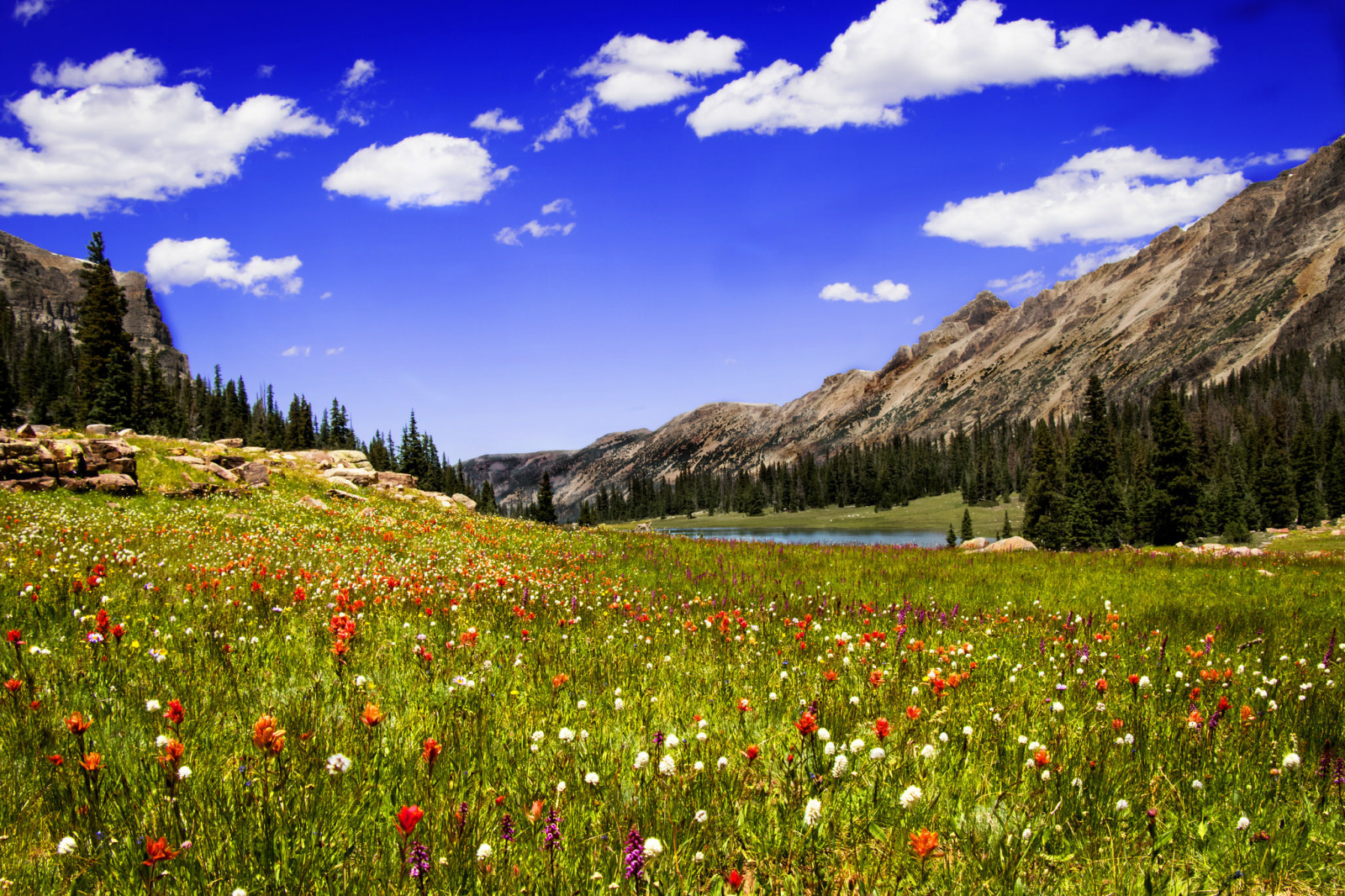 cỏ, hồ, những bông hoa, những đám mây, núi, đồng cỏ