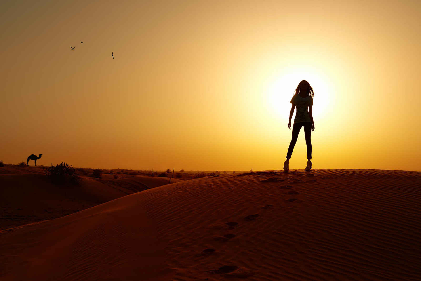 소녀, 일몰, 사막, 사진 작가, 낙타, 날씬한, 모래 언덕, 유진 나딘