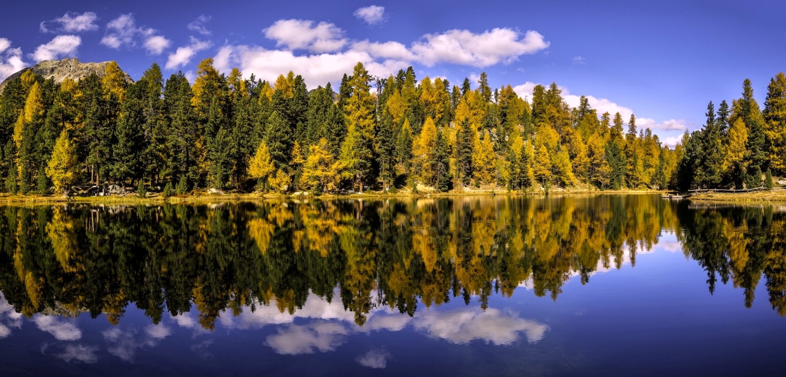 秋, 森林, スイス, 湖, 反射, 木, グラウビュンデン, チャンファー湖