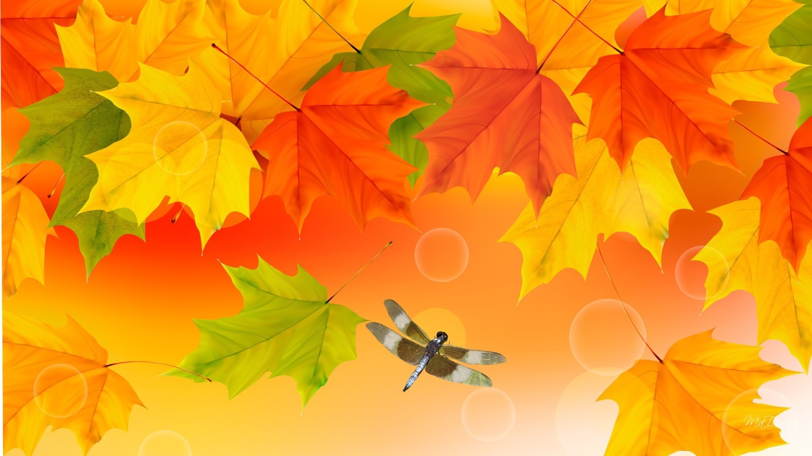 가을, 이파리, 단풍, 곤충, 콜라주, 잠자리