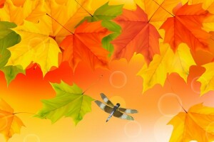 秋, コラージュ, トンボ, 昆虫, 葉, もみじ