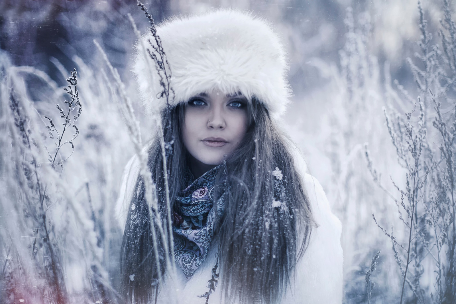 tuyết, Chân dung, mùa đông, Karen Abramyan