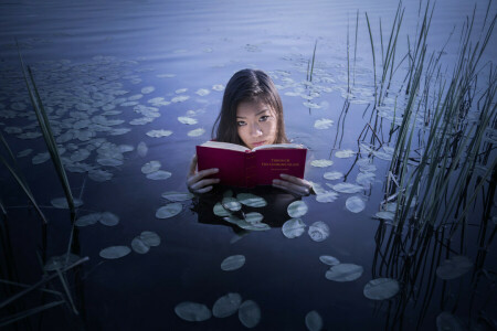 책, 소녀, 호수