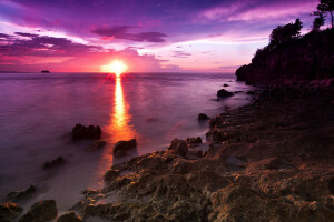 새벽, 자연, 바닷가, 바위, 바다, 돌