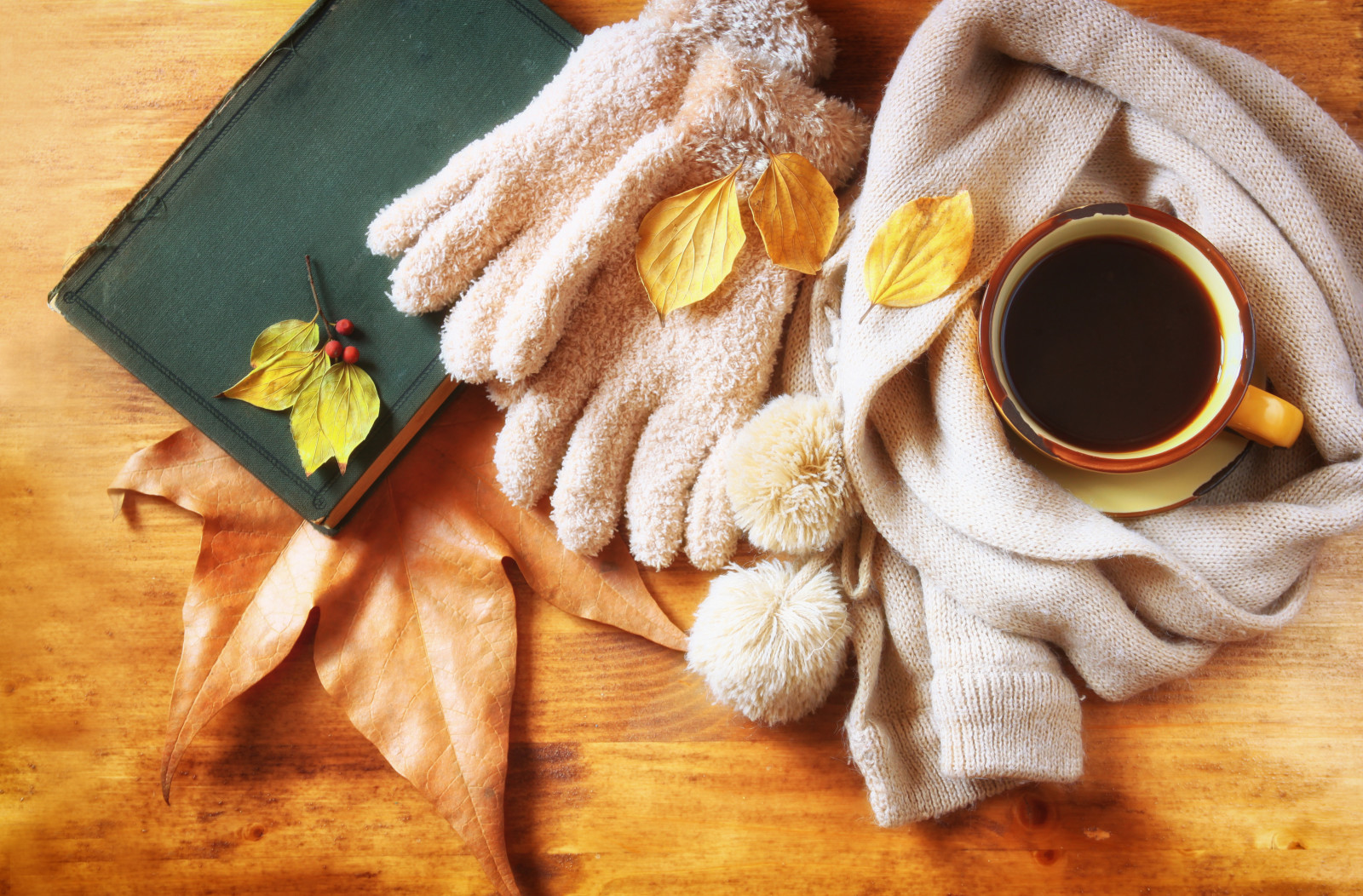가을, 이파리, 스카프, 커피, 뜨거운, 컵
