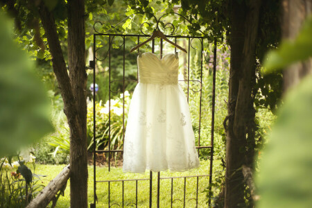 ドレス, 木, 結婚式, 白い