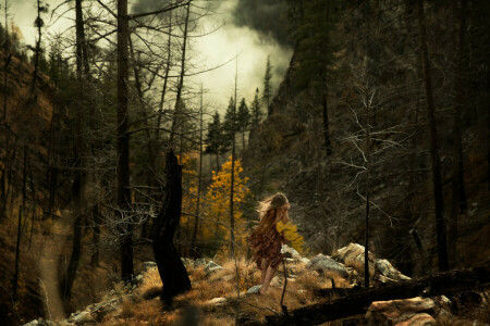 숲, 소녀, 리촌, 연기, 돌