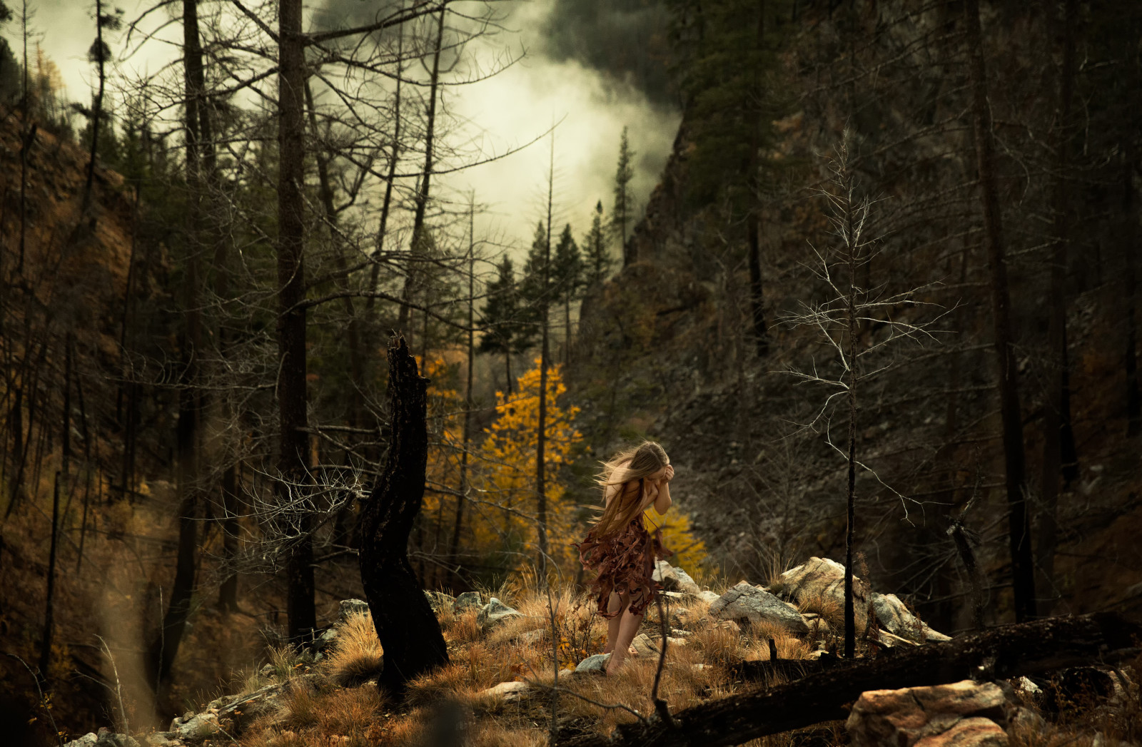 숲, 소녀, 돌, 연기, 리촌
