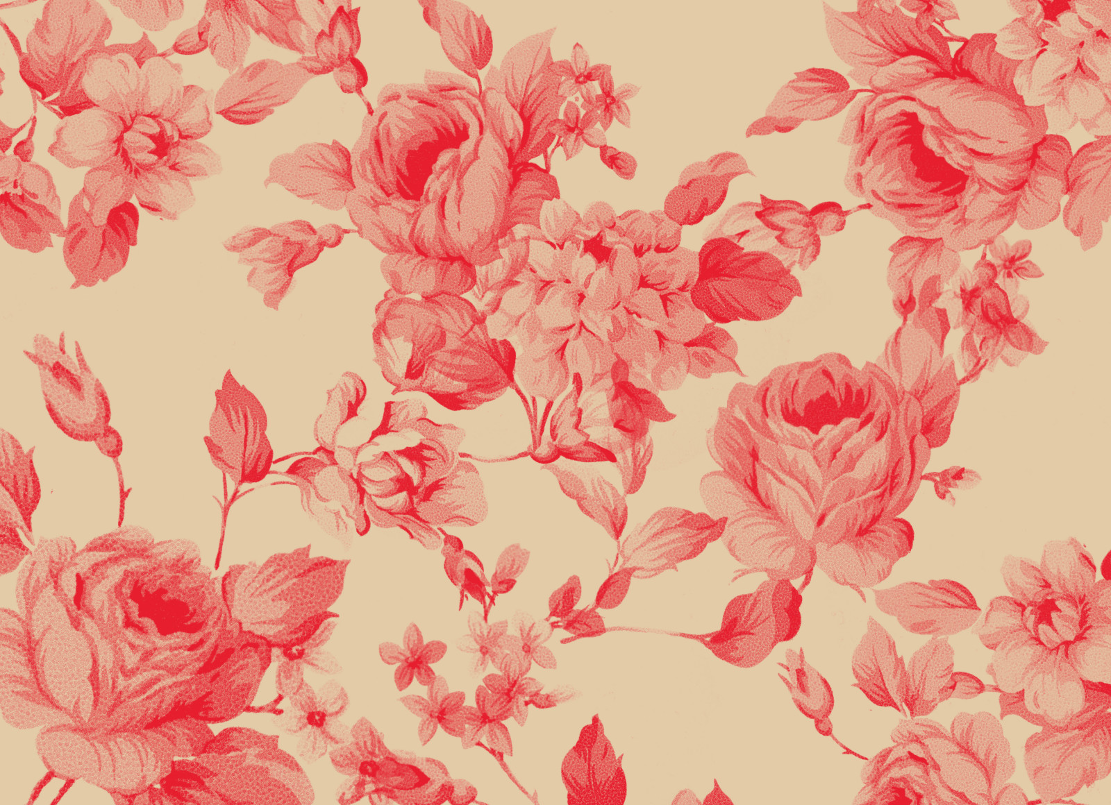 wallpaper, tekstur, bunga-bunga, Milota