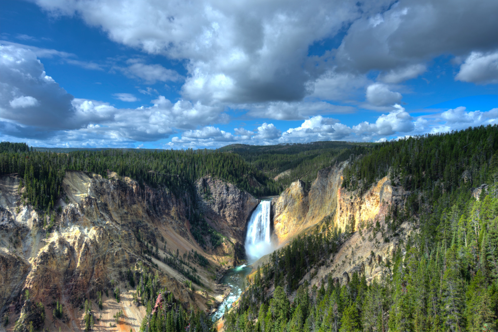 hutan, alam, pemandangan, air terjun, batu, ngarai, Taman Nasional, Wyoming