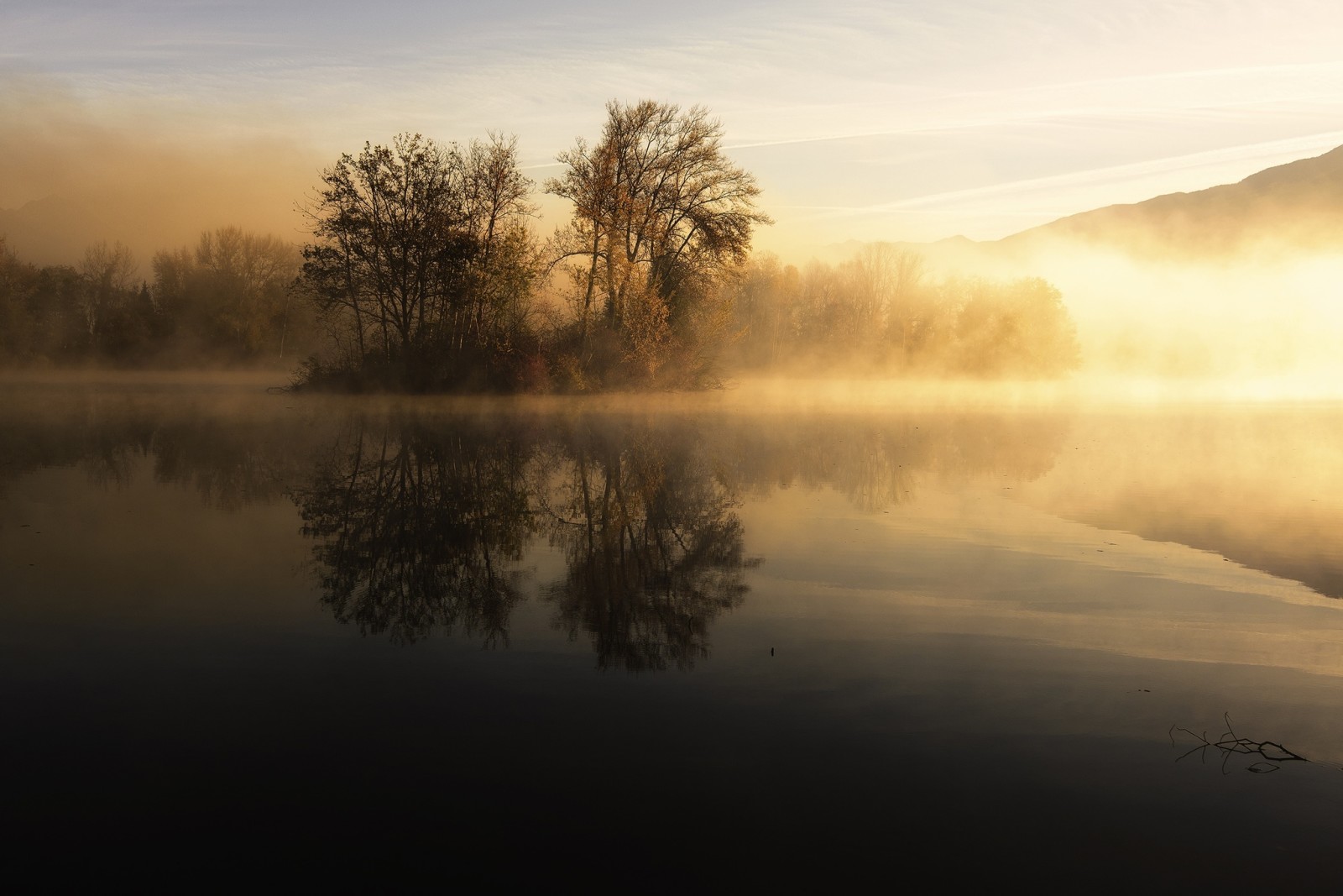hồ, cây, buổi sáng, sương mù