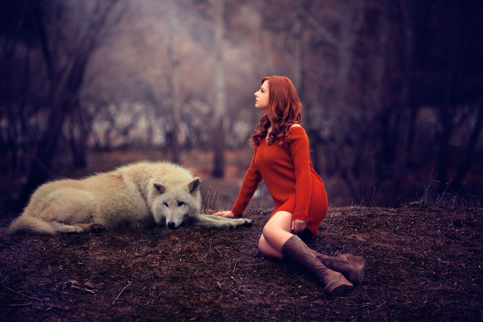 소녀, 다리, 늑대, 빨간 머리, 스웨터, 멜리 스