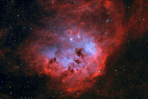 IC 410, 星雲の中, スペース, オタマジャクシ