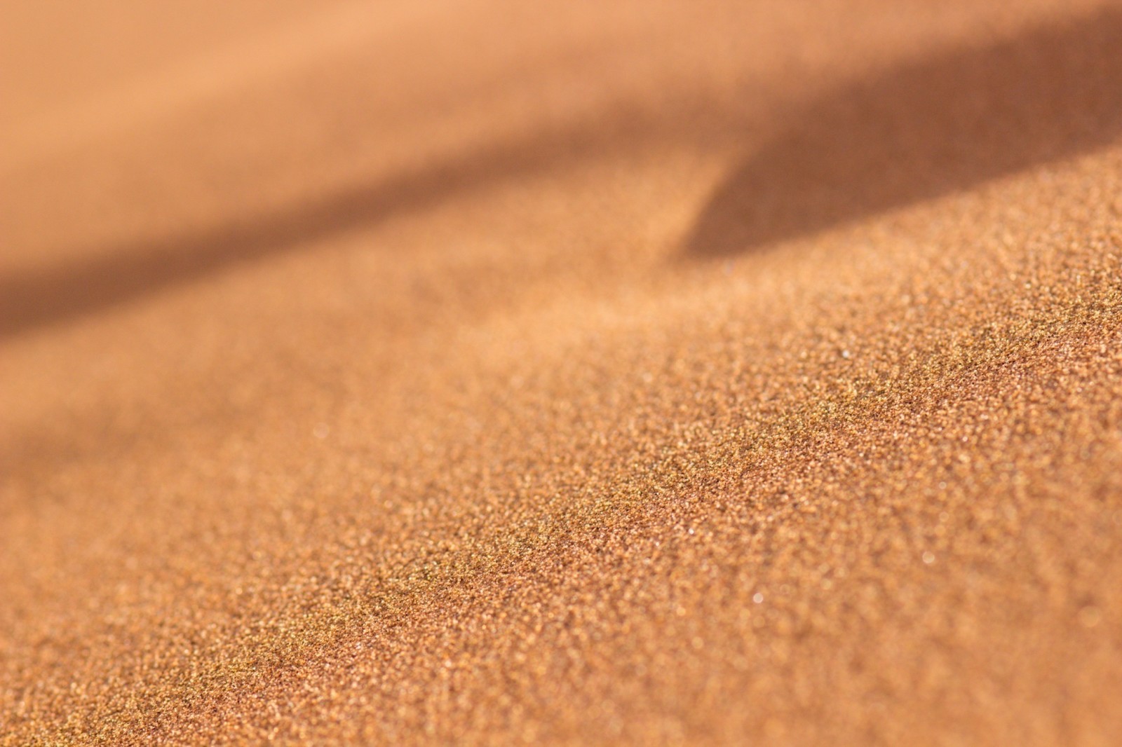 매크로, 사막, 모래, 모래