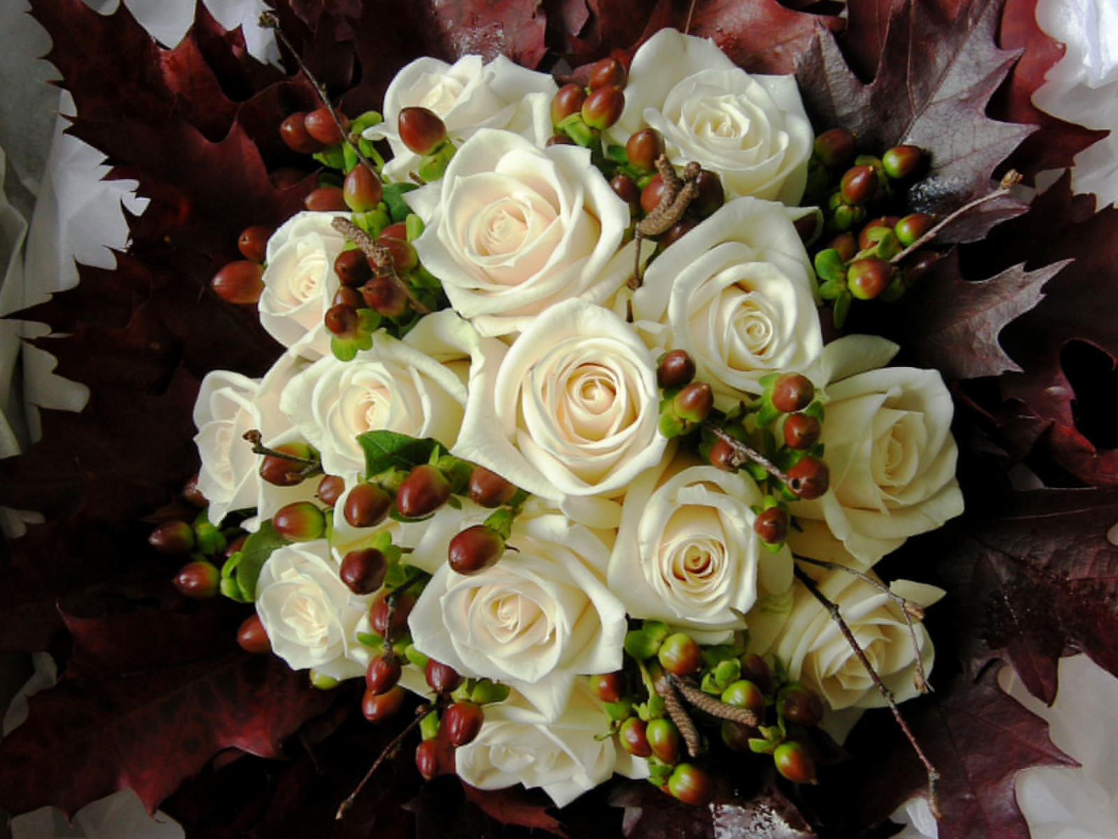 mawar, bunga-bunga, putih, buket, foto