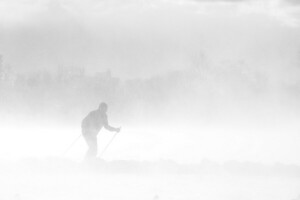 kabut, orang-orang, musim dingin
