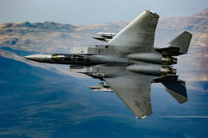 鷲, F-15, 戦士