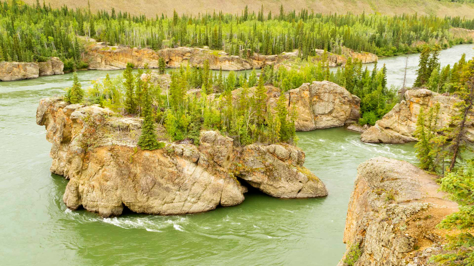 hutan, sungai, pohon, Kanada, batu, Wilayah Yukon, Five Finger Rapids, Pulau-pulau Batu yang berbahaya