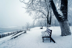 ベンチ, 自然, 写真, 雪, 木の幹, 冬