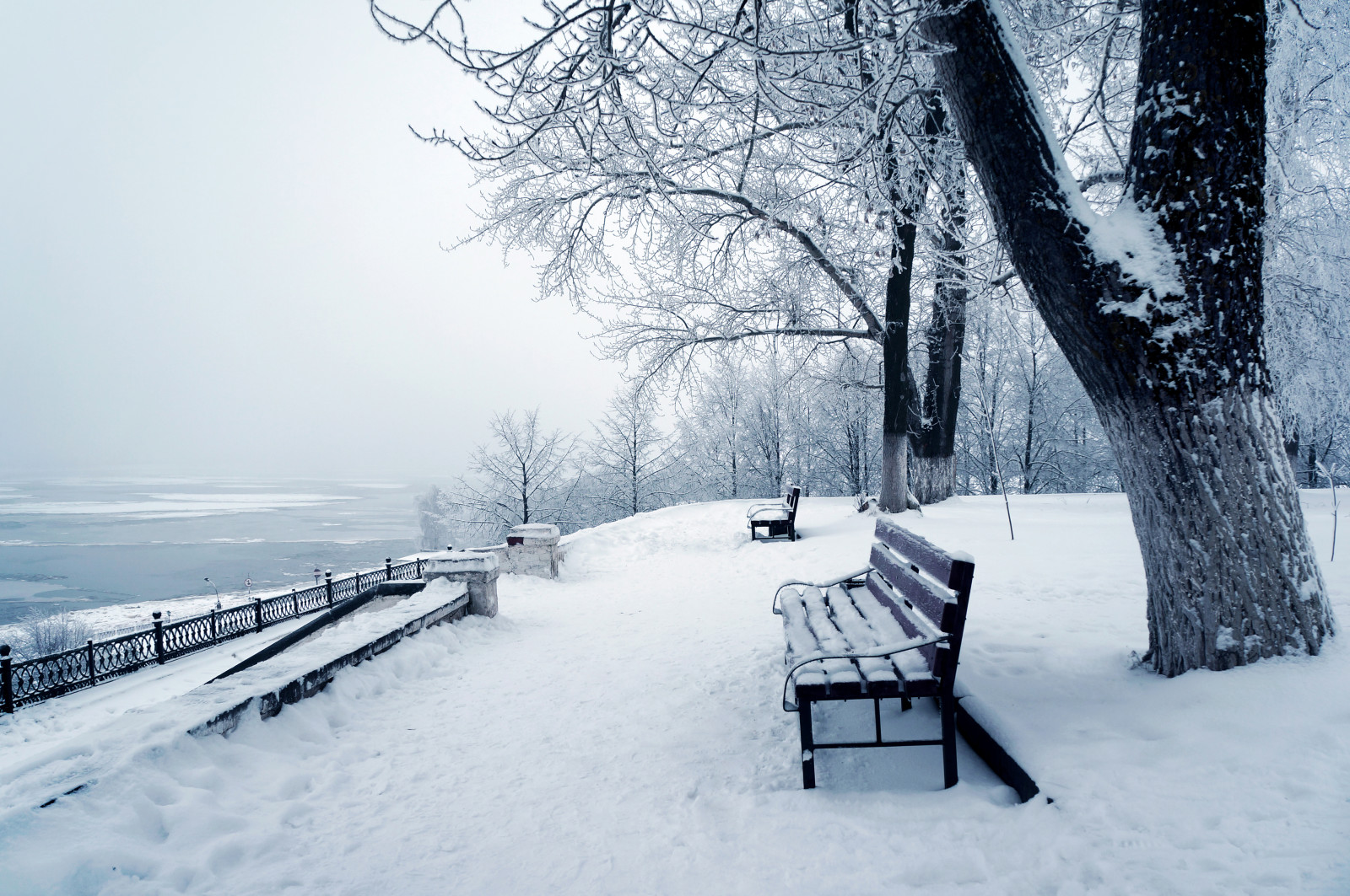 salju, alam, musim dingin, foto, bangku, batang pohon
