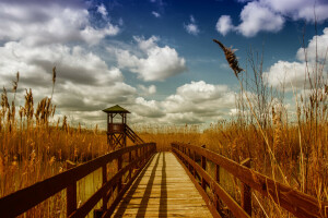 Jembatan, awan, telinga, Gazebo, sungai, musim semi, langit