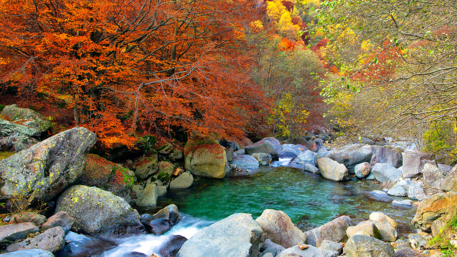 가을, 숲, 호수, 돌, 나무