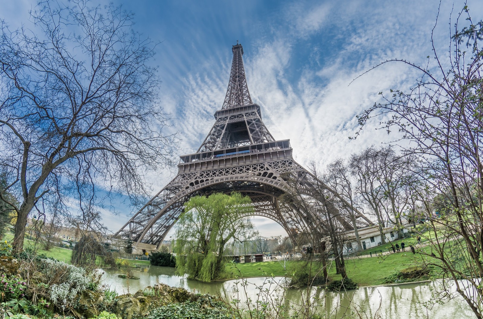 pohon, Paris, menara