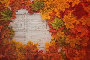 秋, バックグラウンド, ボード, カラフル, 葉, もみじ, 木, 木材