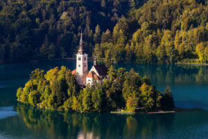 教会, 森林, 島, ブレッド湖, 山, 自然, スロベニア