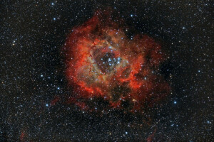 별자리에서, 성운, NGC 2237, 콘센트, 장미 매듭, 일각수