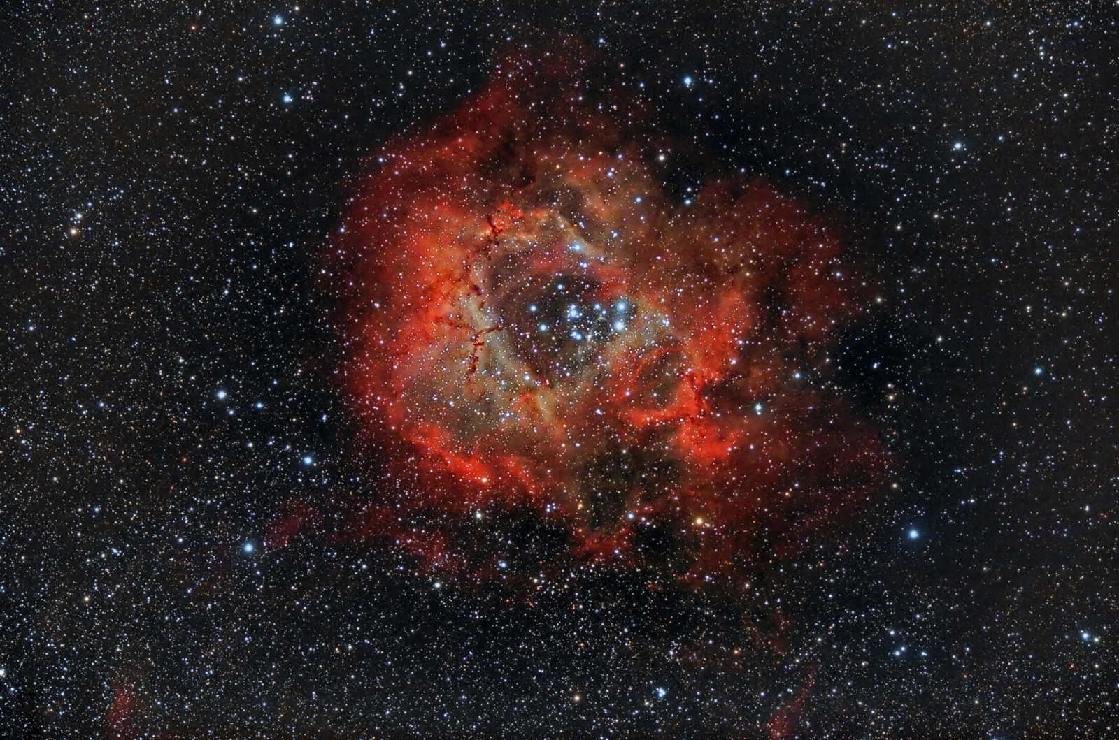 성운, 장미 매듭, 일각수, 별자리에서, 콘센트, NGC 2237