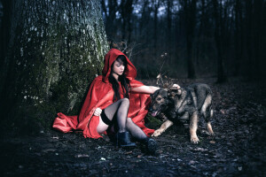 Arya, jubah, anjing, hutan, gadis, Laurent KC, kaki, pohon