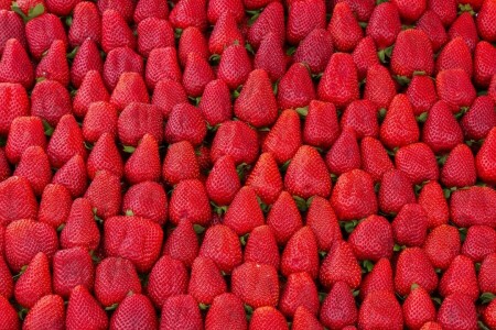 丰富, 浆果, 草莓