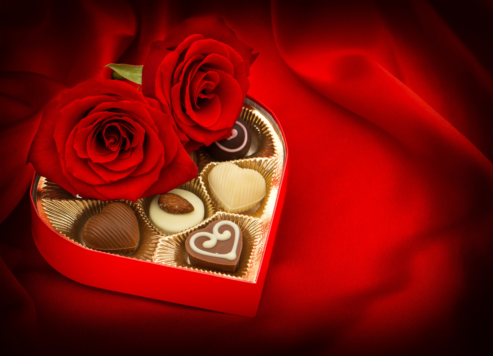 hari Valentine, mawar, Permen, cokelat, tunas
