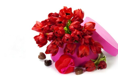 꽃들, 사랑, 빨간 튤립, 튤립, 발렌타인 데이