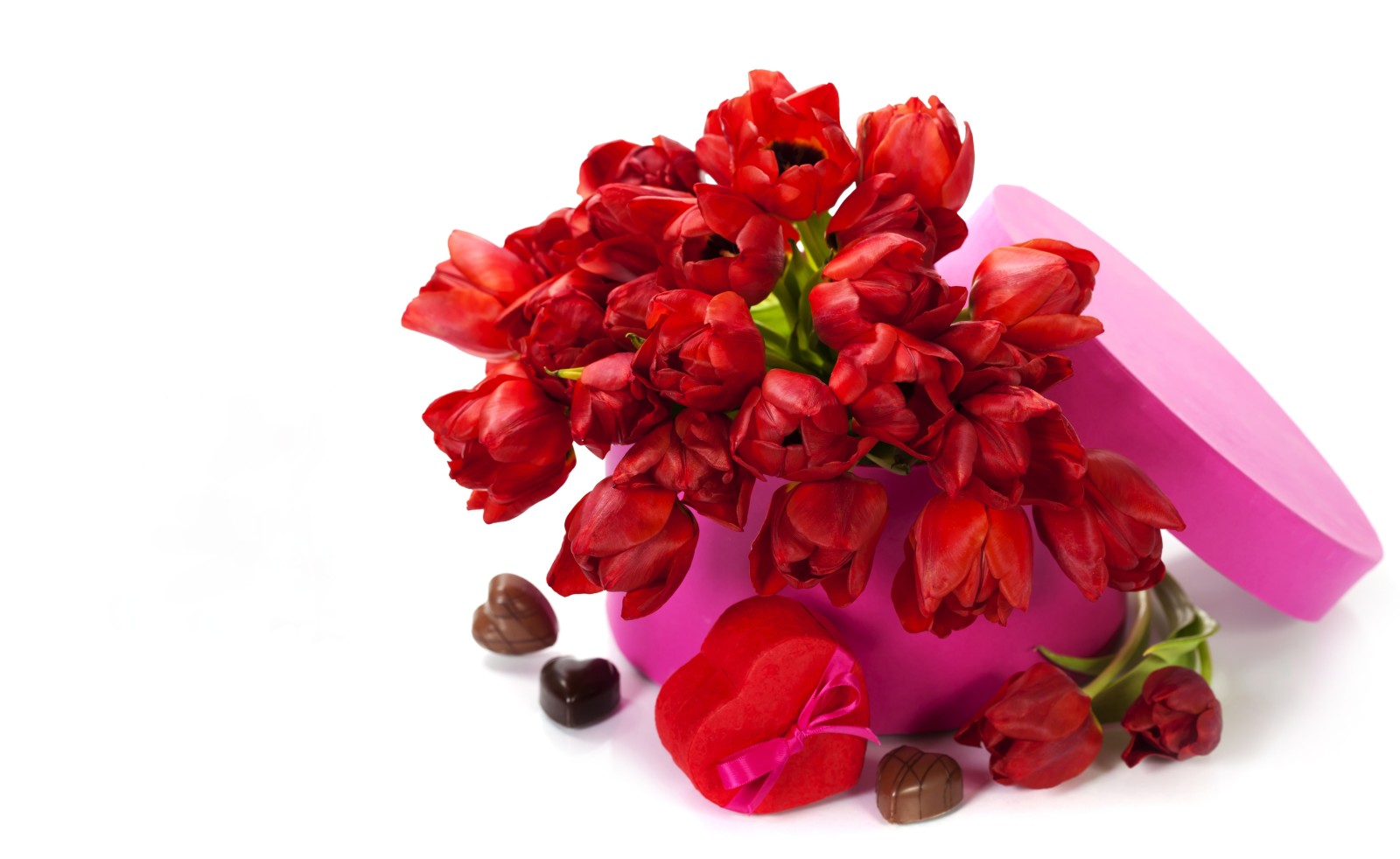 yêu và quý, ngày lễ tình nhân, những bông hoa, Hoa tulip, hoa tulip đỏ