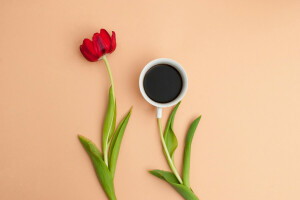 コーヒー, カップ, 花, 葉, 花びら, 静物, チューリップ
