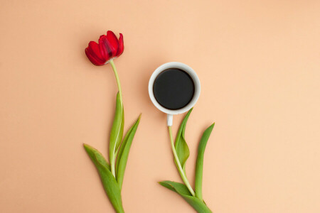 커피, 컵, 꽃, 이파리, 꽃잎, 정물, 튤립