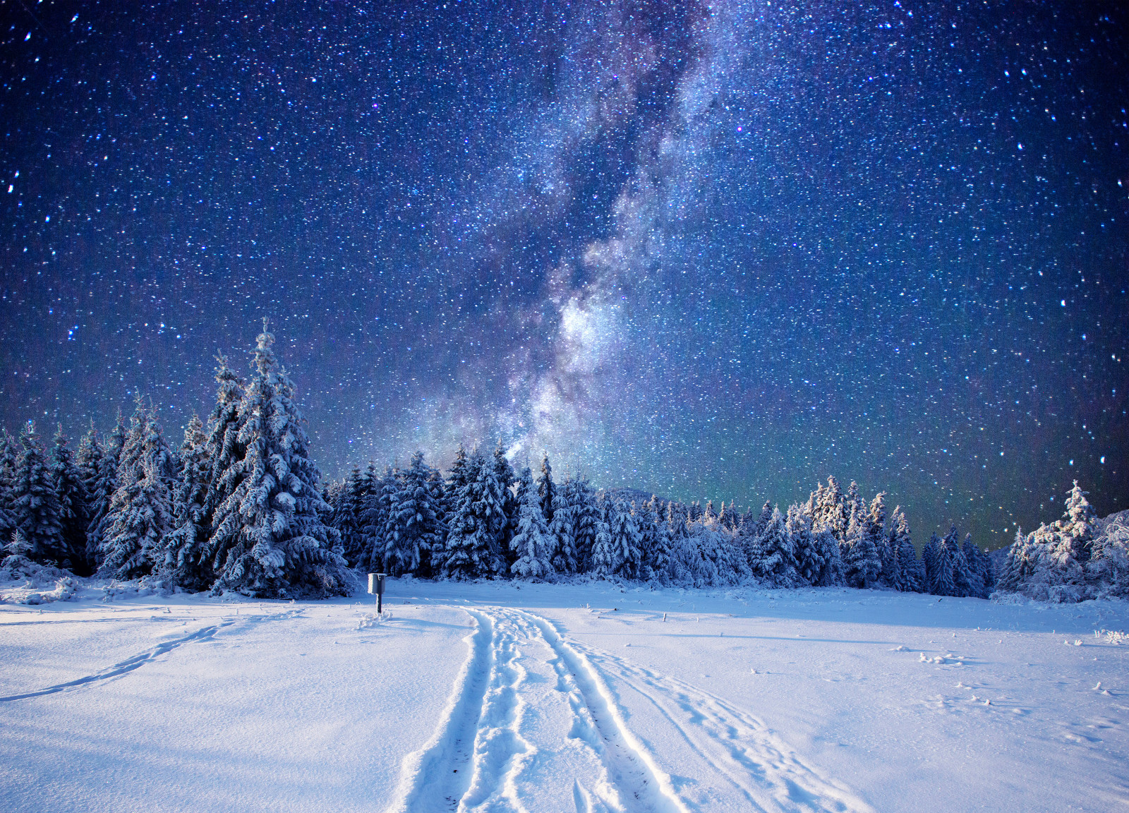 雪, 森林, 天空, 冬季, 树木, 林间空地, 星星, 银河
