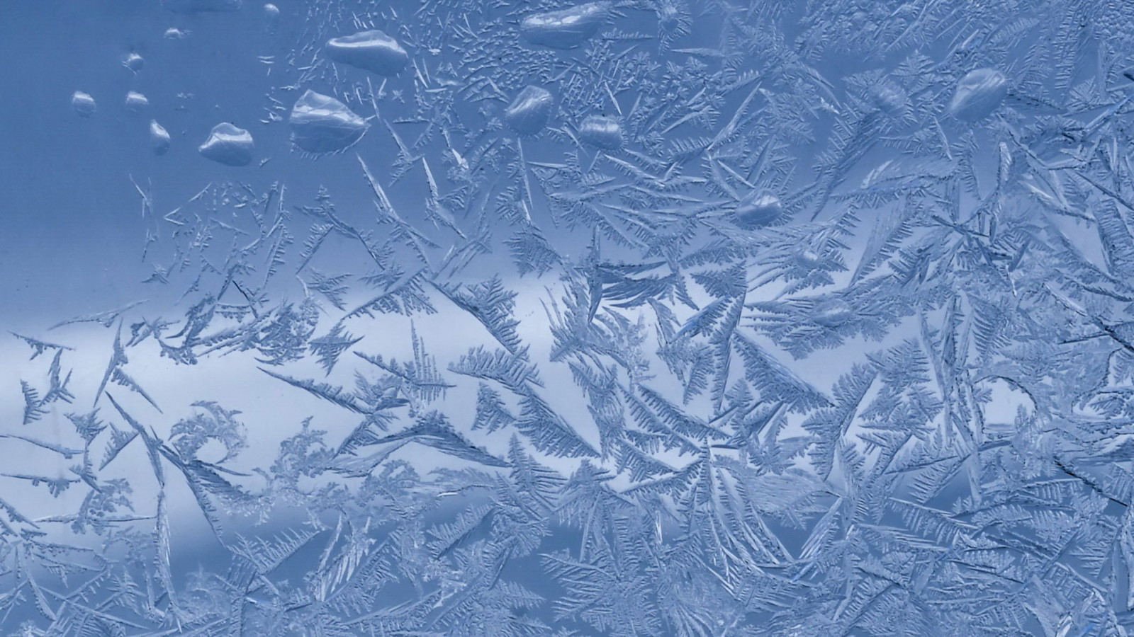 Ледяные узоры на стекле