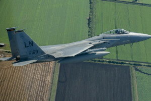 鷲, F-15C, 戦士, 風景