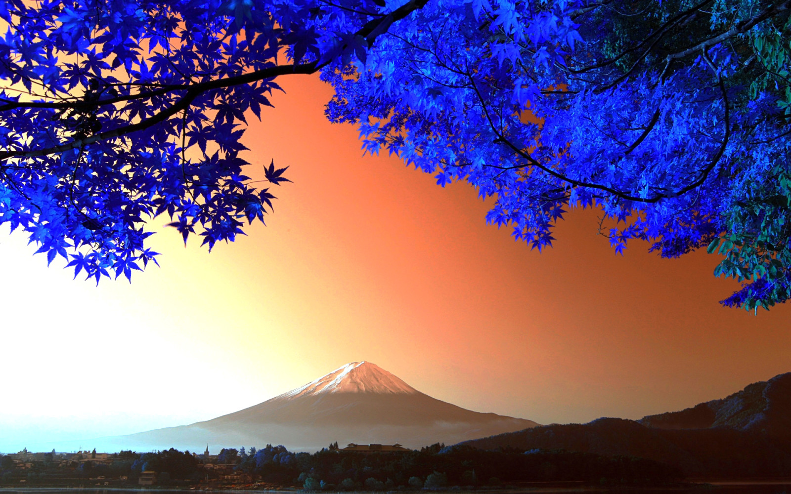 树, 山, 日本, 树叶, 富士