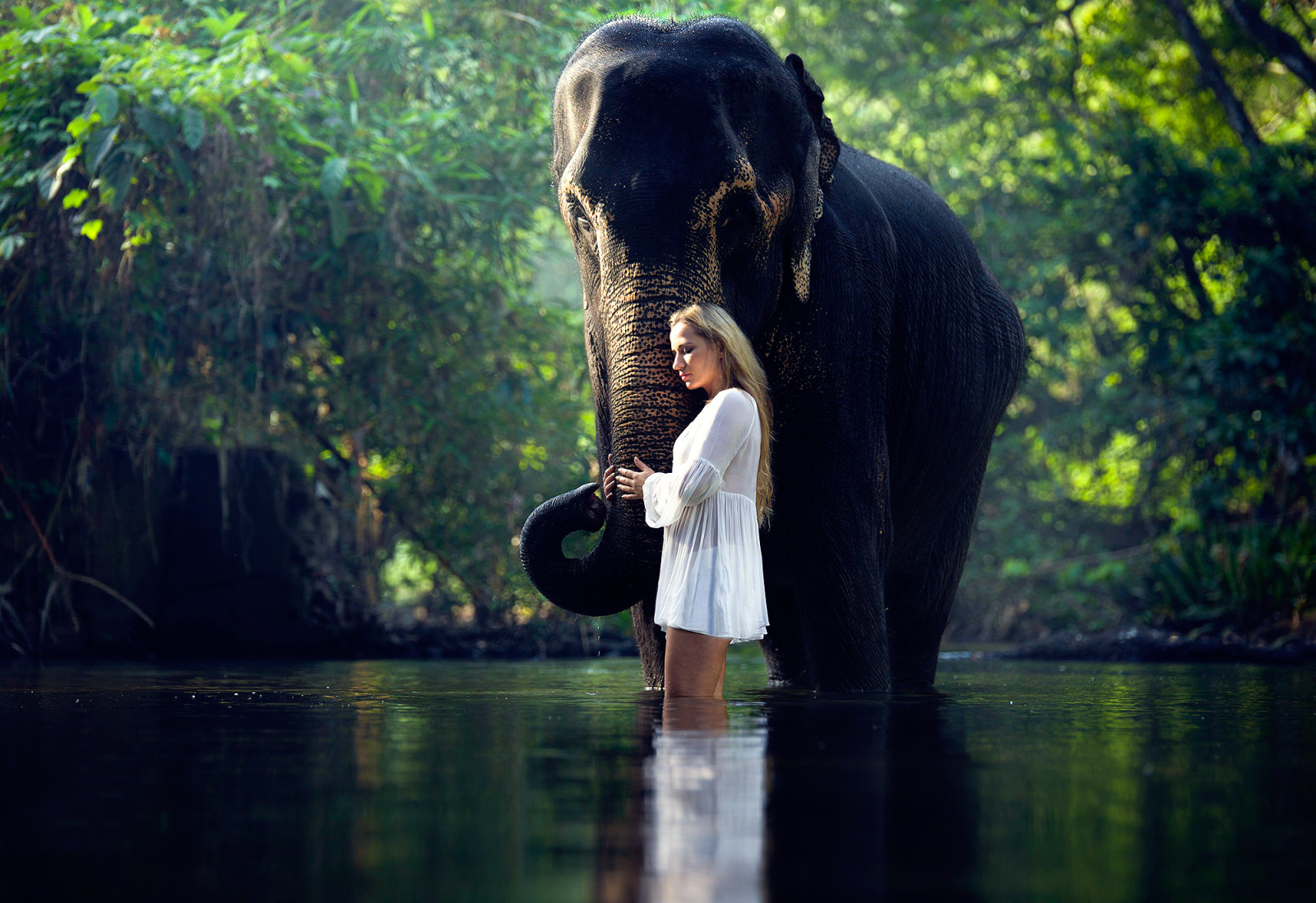 소녀, 물 속에서, 코끼리, 고요한