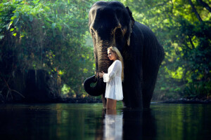 象, 女の子, 水中で, 穏やかな